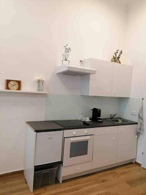 Feine Wohnung Direkt Am Yppen- Und Brunnenmarkt Wenen Buitenkant foto